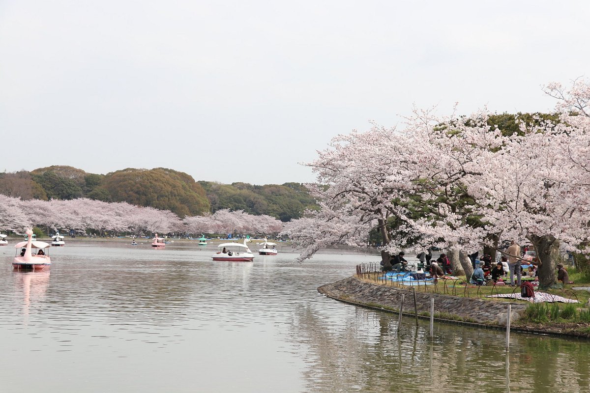 🏯 아카시 성터(明石城跡) 이미지 5